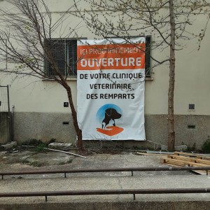 bache_clinique-veterinaire_ouverture_.jpg