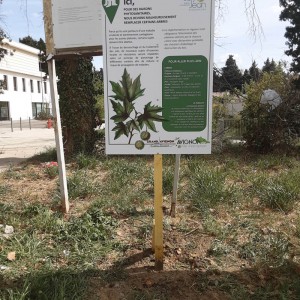 panneau-grand-avignon-